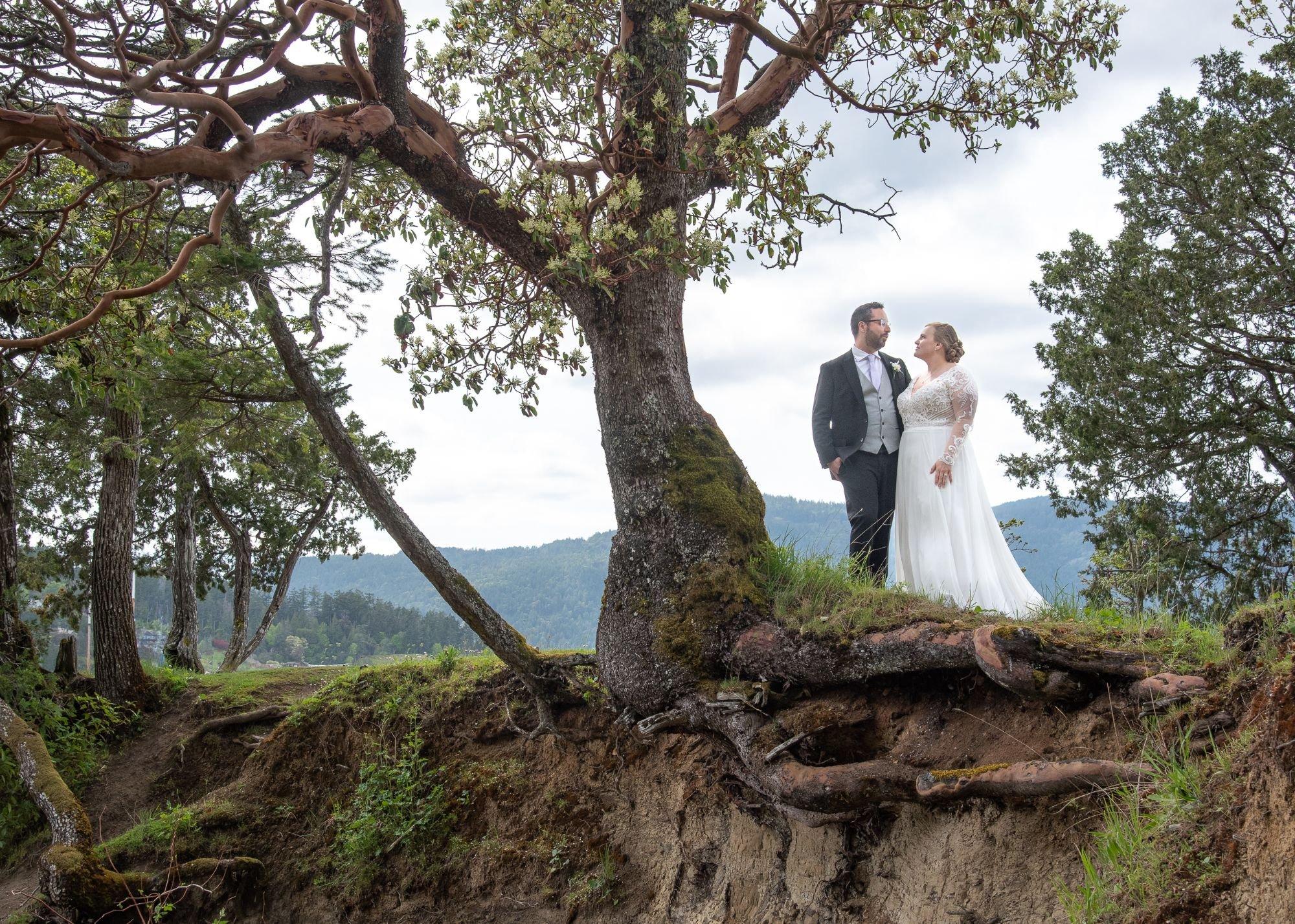 carousel-hero-element image-8